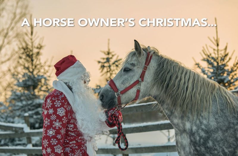 A horse owner’s Christmas